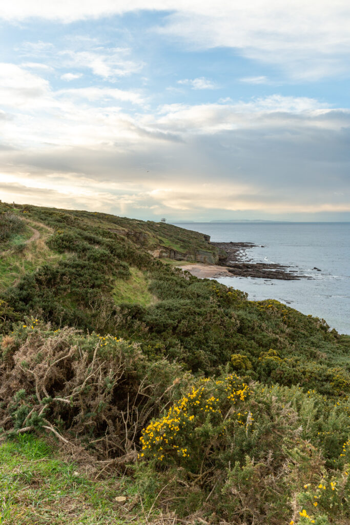 Pobrežie pri majáku Covesea. Škótsko.
