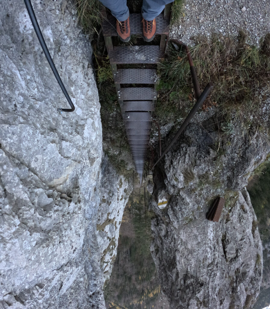 Záverečné schodisko v lese pri zostupe