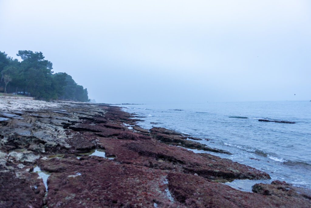 Pobrežie Istrie pohľad na skalnaté pobrežie a more počas zimy.