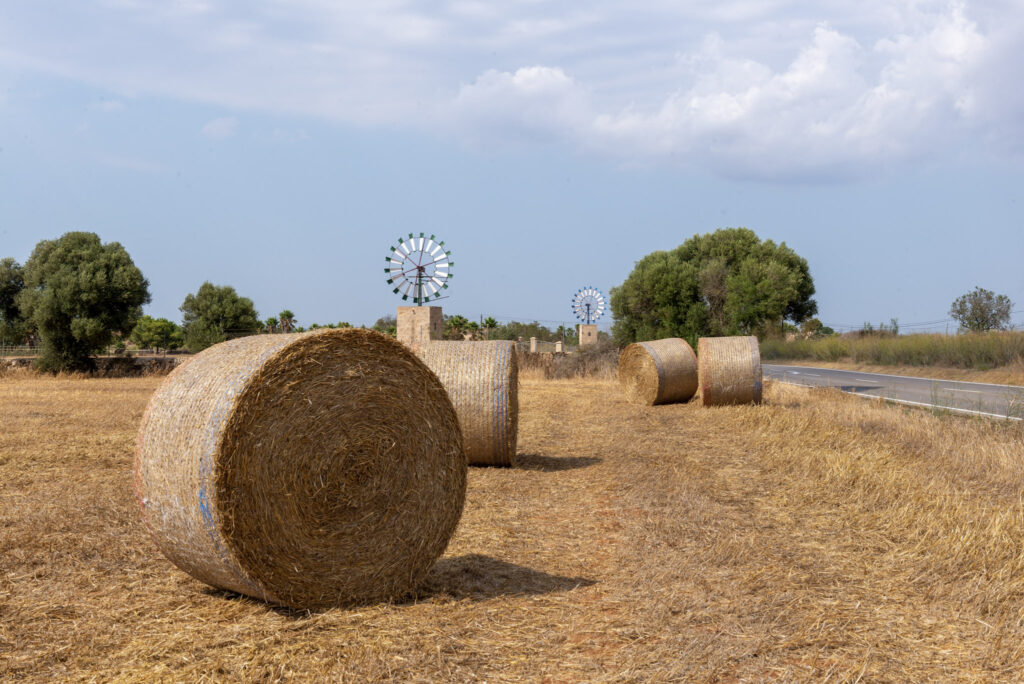 Llucmajor a veterné mlyny