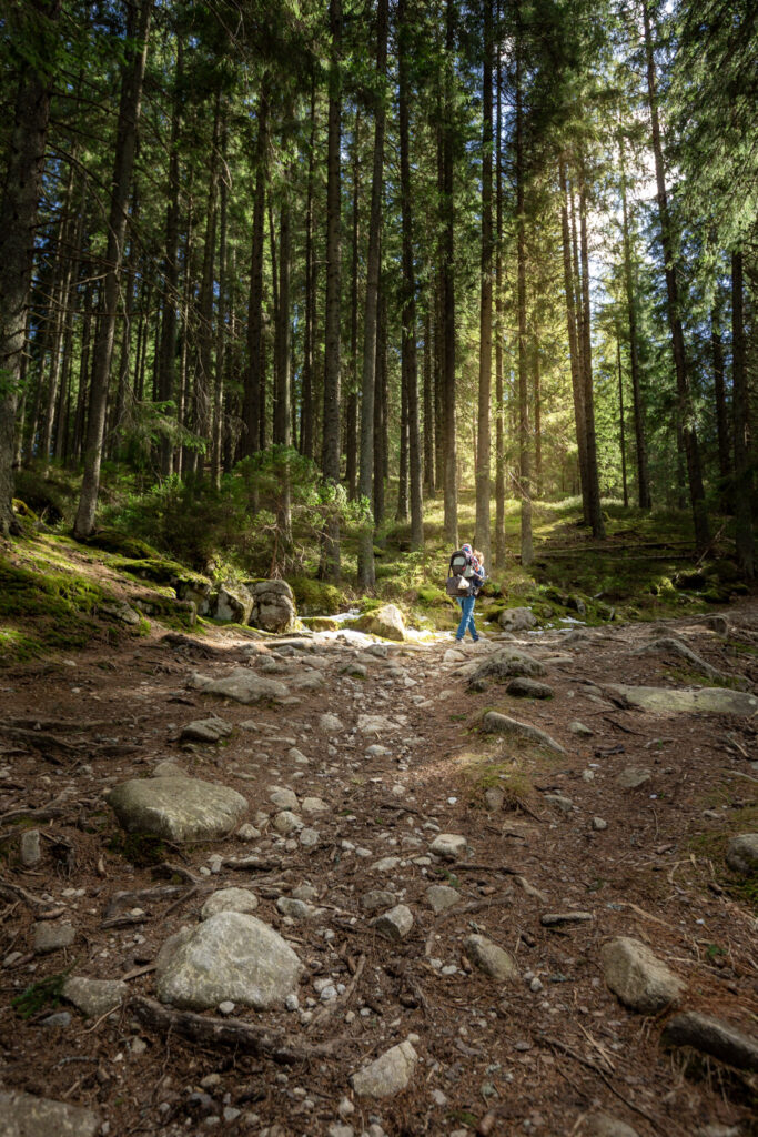 Turista kráča s nosičom Thule na chrbe dolinou Zadnej vody v Demänovskej doline.