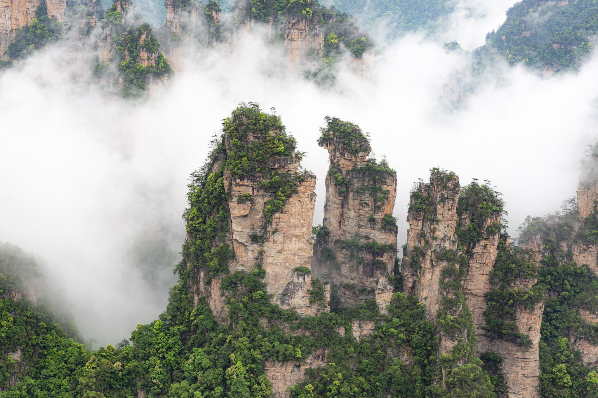 Čína Zhangjiajie nations forest park