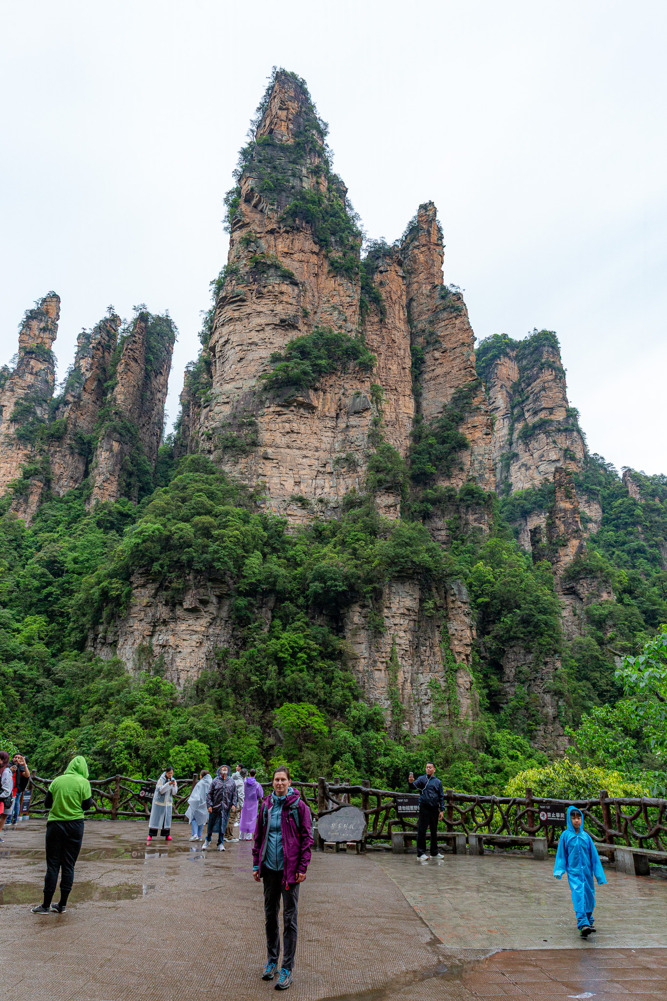 Maca v Zhangjiajie