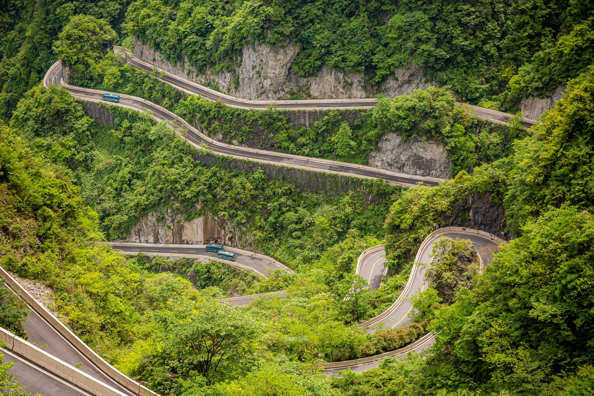 Detailný pohľad na slávnu kľukatú horskú cestu s 99 zákrutami, ktorá sa tiahne pomedzi sviežo zelené krasové vrchy v masíve Tianmen Mountain. Na ceste vidieť prechádzajúce modré autobusy v oblasti Zhangjiajie, Čína.