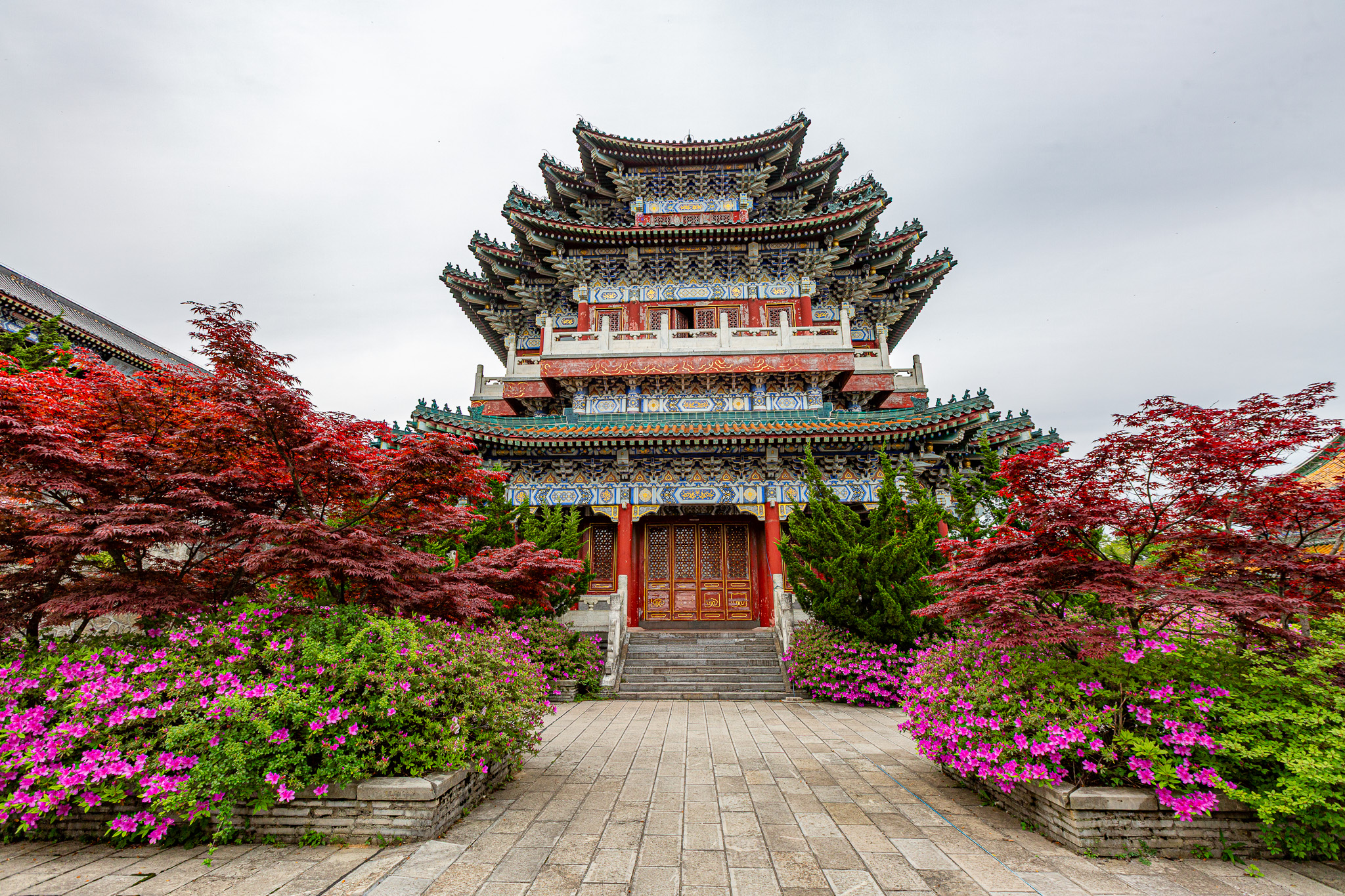 Hlavná budova chrámu Tianmen Mountain Temple s farebnou architektúrou a kvitnúcimi záhradami azalky a javorov.