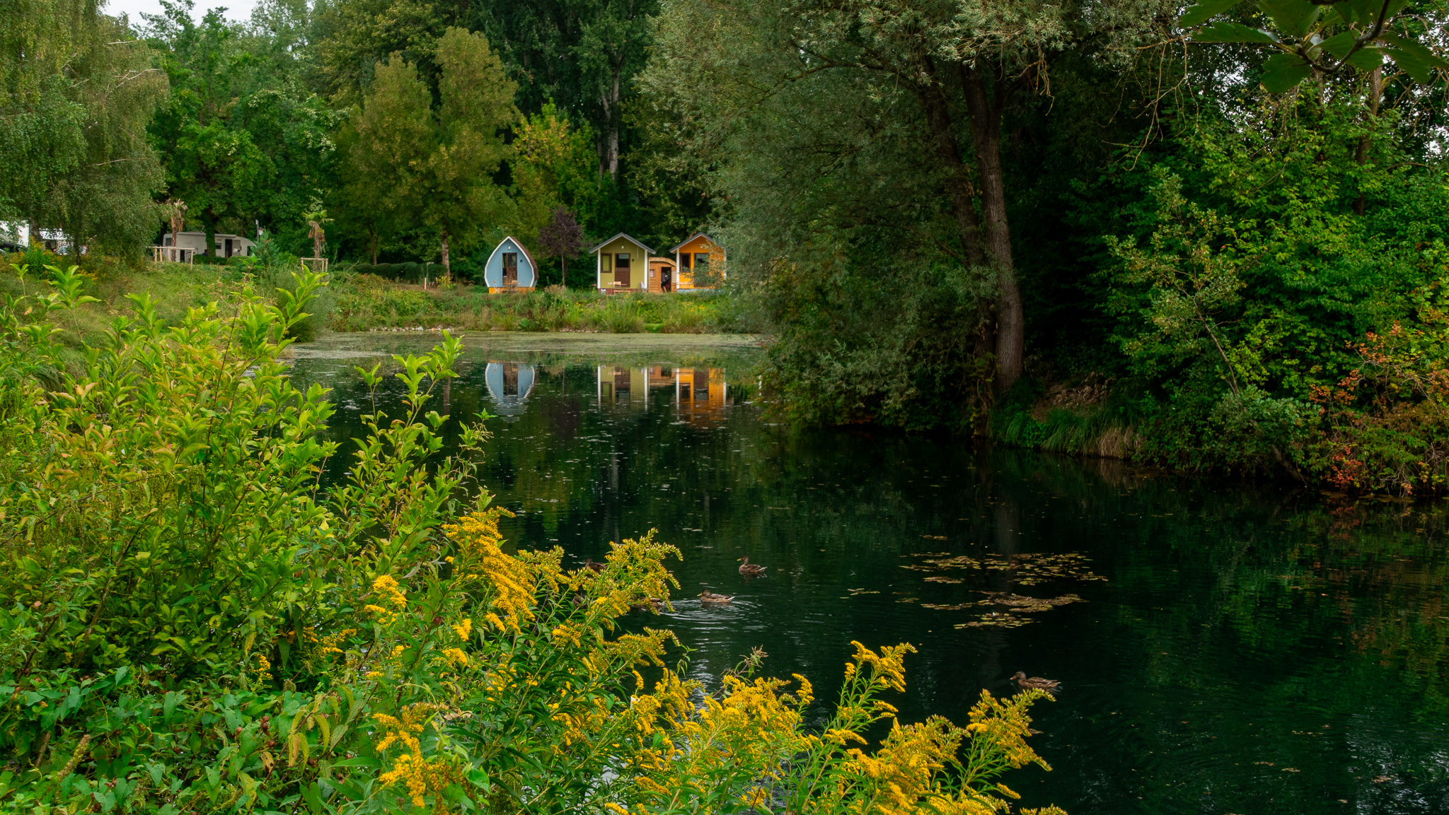 Jazierko v kempe Au an der Donau