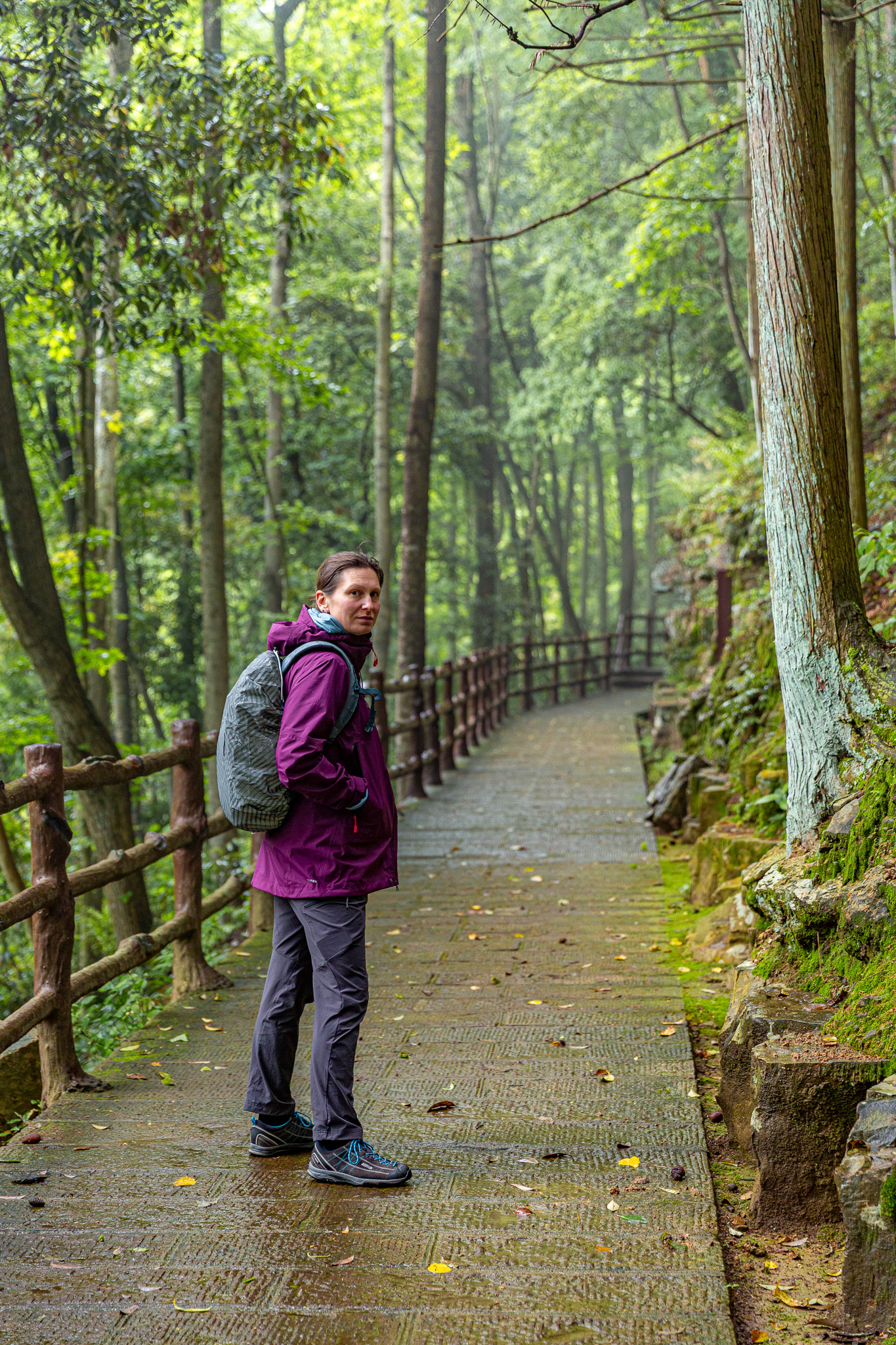 Maca v daždi kráča po chodníku smerom na Tianzi Mountain