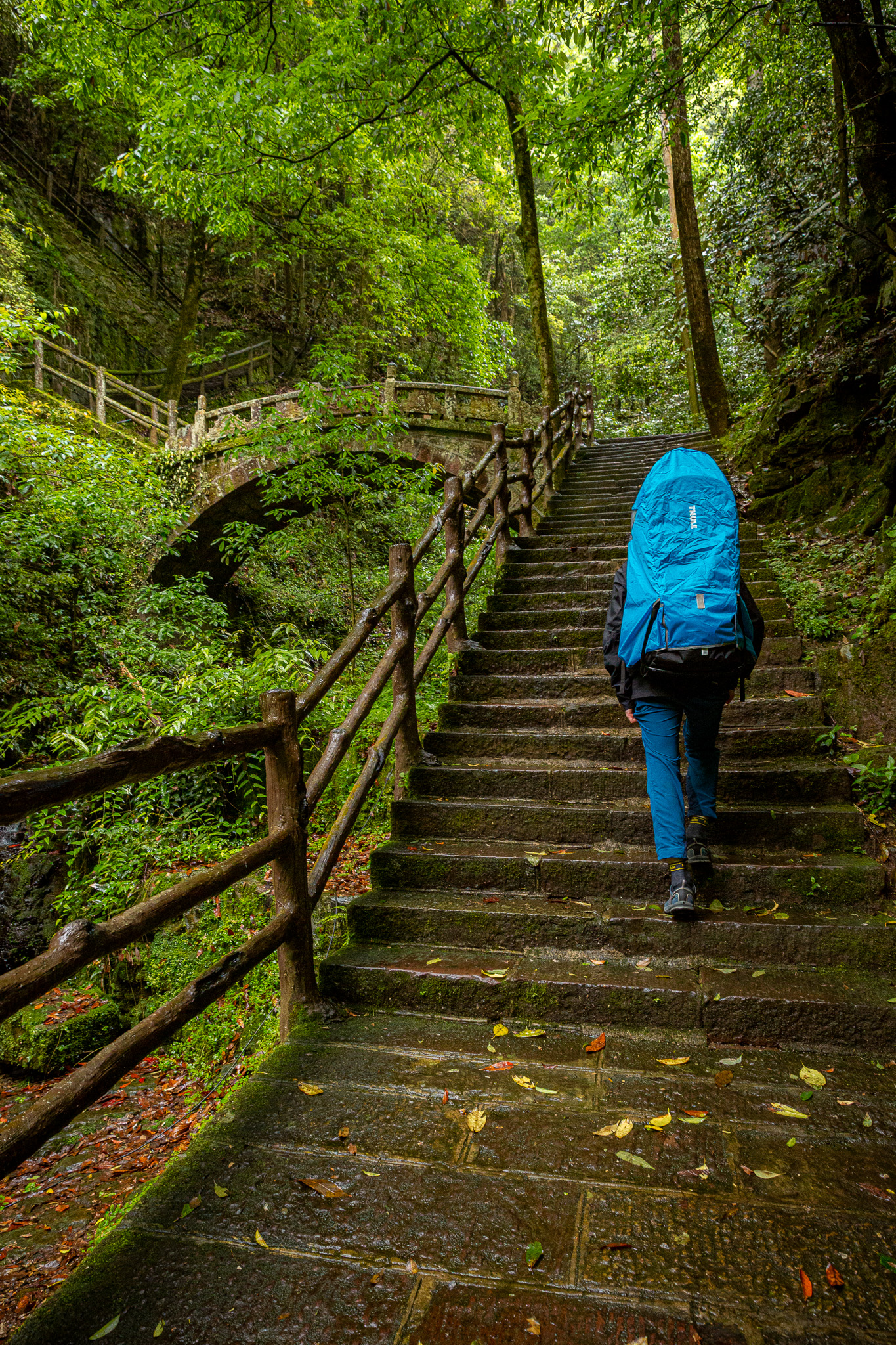 Mišo s nosičom v daždi kráča po schodoch smerom na Tianzi Mountain